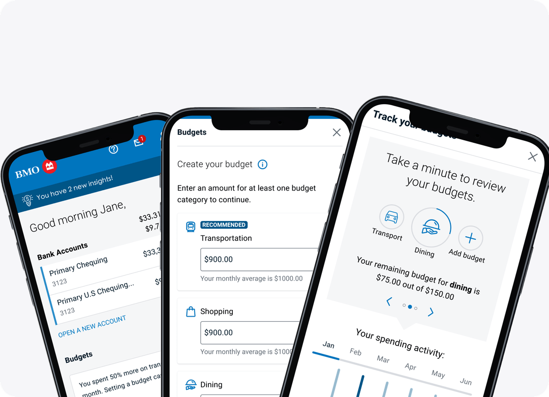 Planning and tracking everyday spending